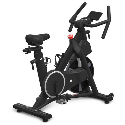 Lifespan Fitness SM-420 Spin Bike - Automatic Magnetic Resistance and Flywheel - LFEX-SM420
