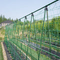 Jack Trellis Netting 1.8 x 2.7m - Green - Supports Climbing Plants - SuperSaverAU - view 3