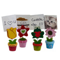 Boyle Photo Note Clip - 4 Piece Set - Pinewood - Fun Craft Project - SuperSaverAU - view 3
