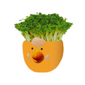 Mr Fothergill Cress Chick Grow Kit - Assorted Colours - 1 Ceramic Pot - 6 x 6 x 4.5 cm - SuperSaverAU - view 4