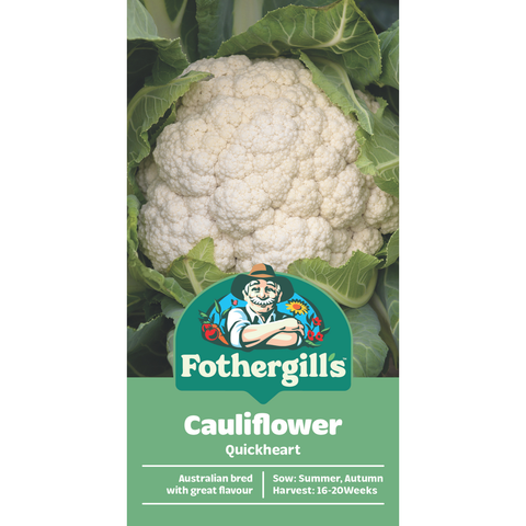 Mr Fothergill's Quickheart Cauliflower Seeds - White Heading Variety, Part Shade Friendly