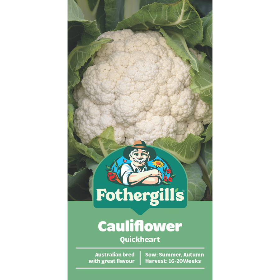 Mr Fothergill's Quickheart Cauliflower Seeds - White Heading Variety, Part Shade Friendly