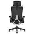 Lifespan Fitness DM9 Ergonomic Mesh High Back Office Chair - Adjustable Lumbar, 3D Armrests - LFOC-DM9BK-1