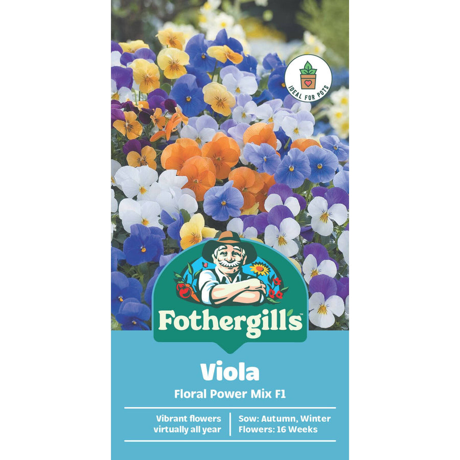 Mr Fothergill's Viola Floral Power Mix F1 Seeds Sun and Part Shade