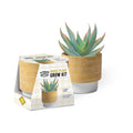 Mr Fothergill's Coral Aloe Grow Kit - Terracotta Pot - 95mm x 100mm - Yellow - SuperSaverAU - view 2