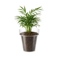 Eden 20cm Clear Round Planter 4L Polypropylene