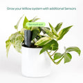 Plant with Willow Smart Indoor Plant Sensor Charcoal, Bluetooth Monitoring