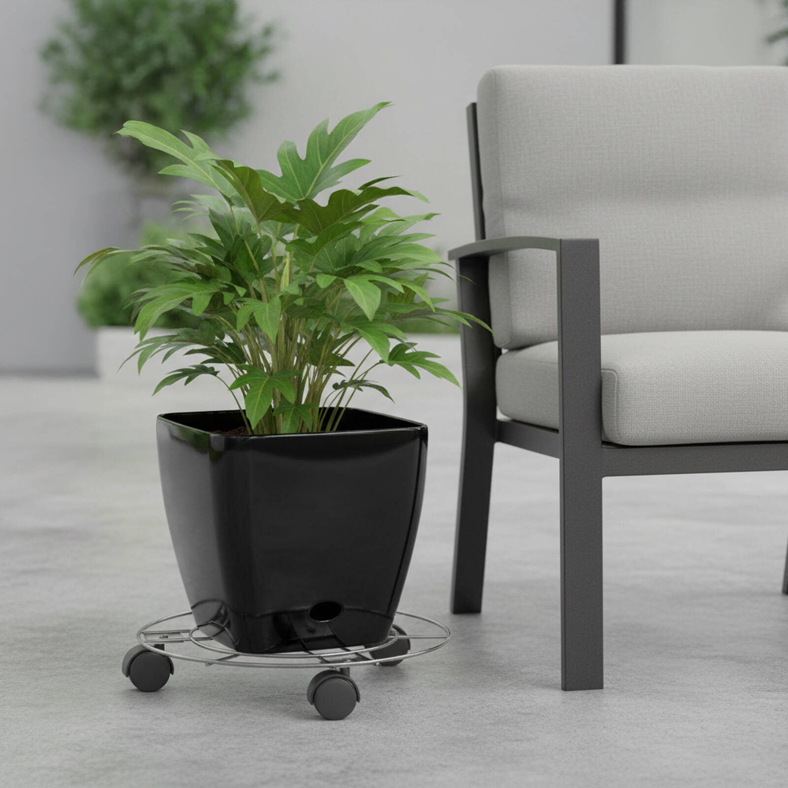 Eden 25cm Round Pot Plant Trolley, Wire, 25kg Capacity, Indoor & Outdoor