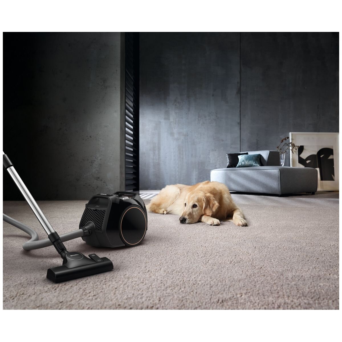Miele Boost CX1 Cat and Dog bagless vacuum cleaner - obsidian black - TurboTeQ floorhead - 11640600