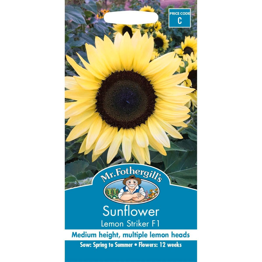 Mr Fothergill Sunflower Seeds - 120cm - Seed - Pollen Free - SuperSaverAU - view 1