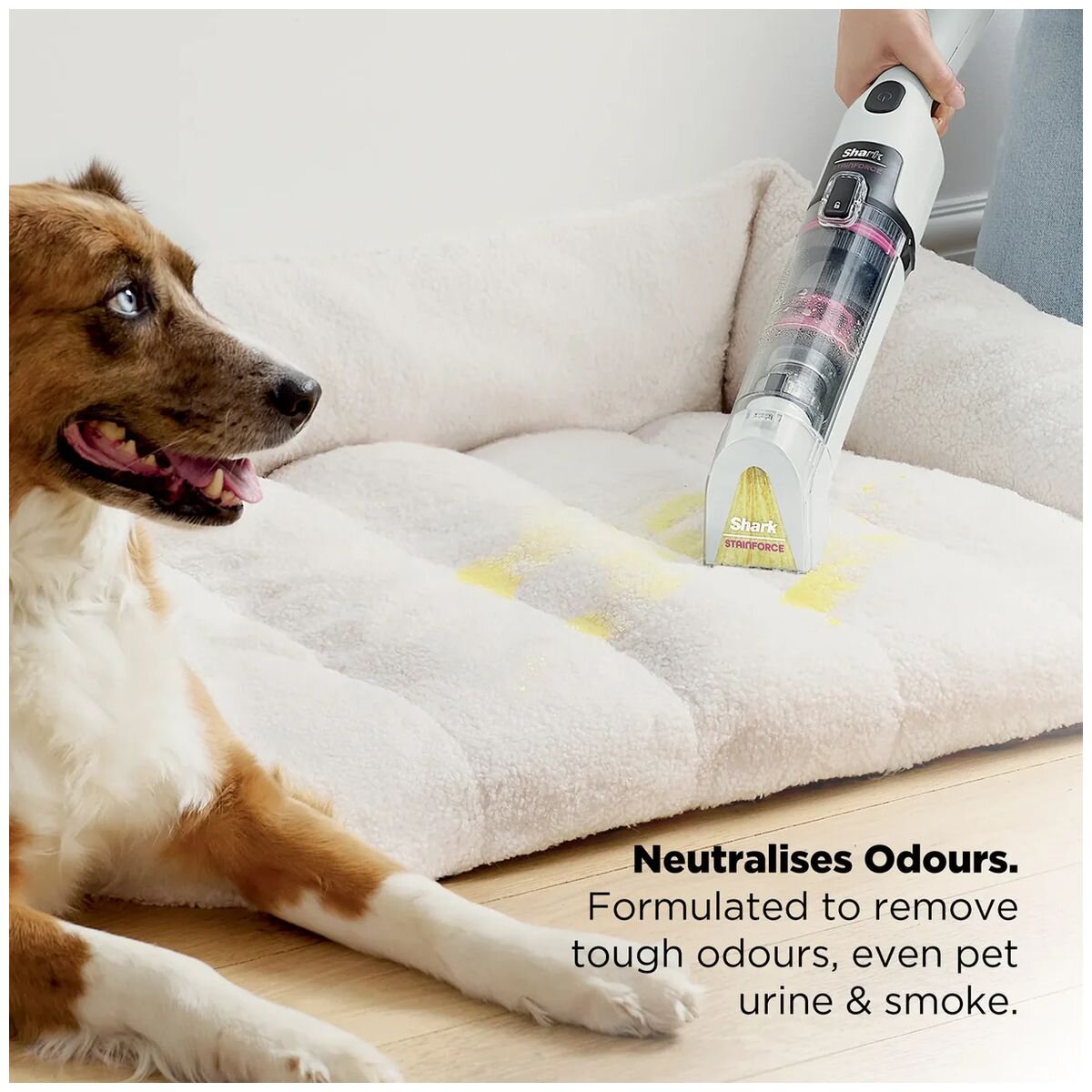 Shark StainForce cordless spot cleaner - lightweight and portable, self-cleaning, white - HX100