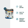 Taubmans 4L Accent Matt All Weather Exterior Paint - 4L - Water Based Acrylic - SuperSaverAU - view 2