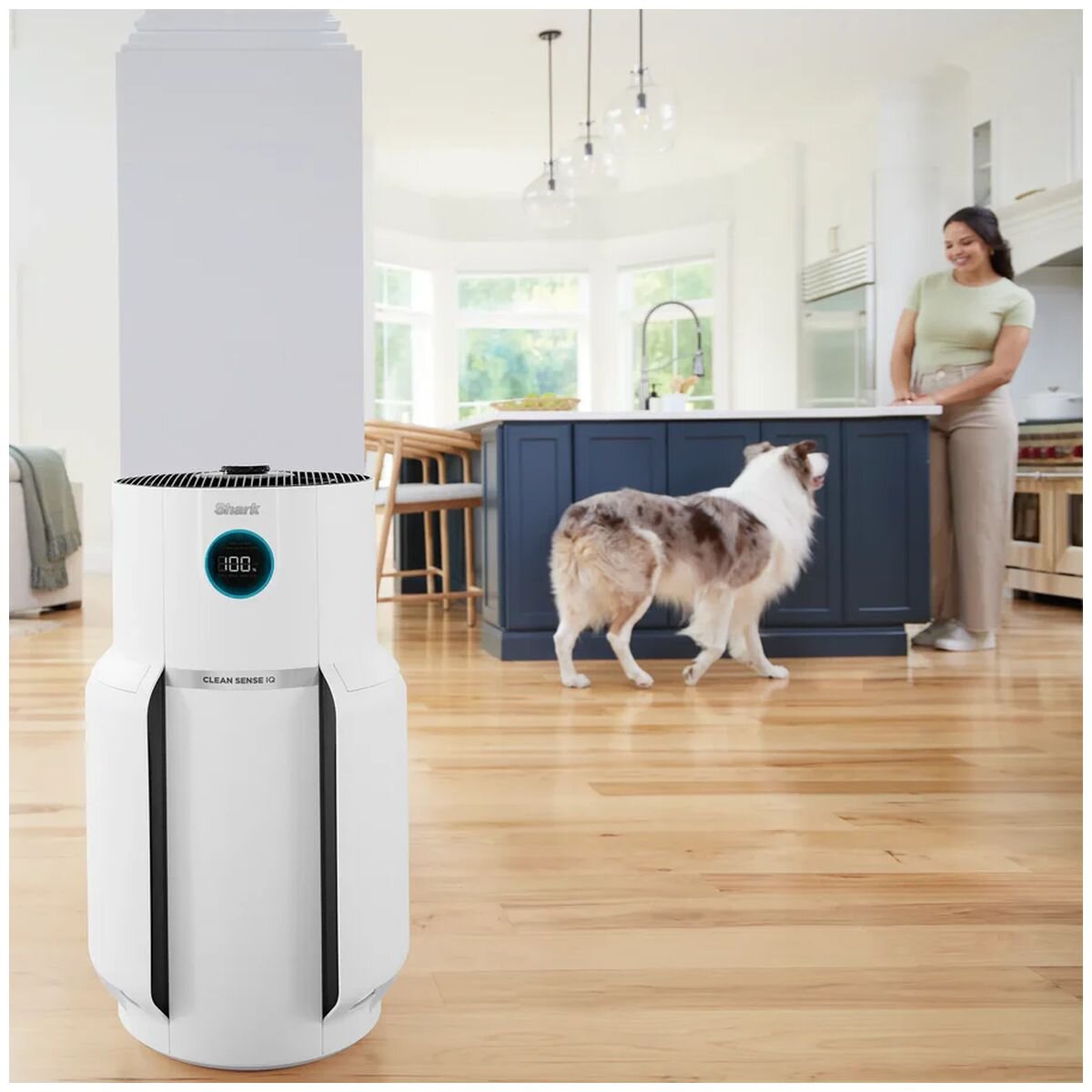 Shark NeverChange5 Air Purifier Max - 5-Year Filter, Up to 130 Square Metres, Four Fan Speeds - HP300