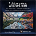 Sony 77 Inch BRAVIA 6 OLED 4K HDR Google TV - Triluminos Pro Colour, 4K 120fps Gaming - K77A60