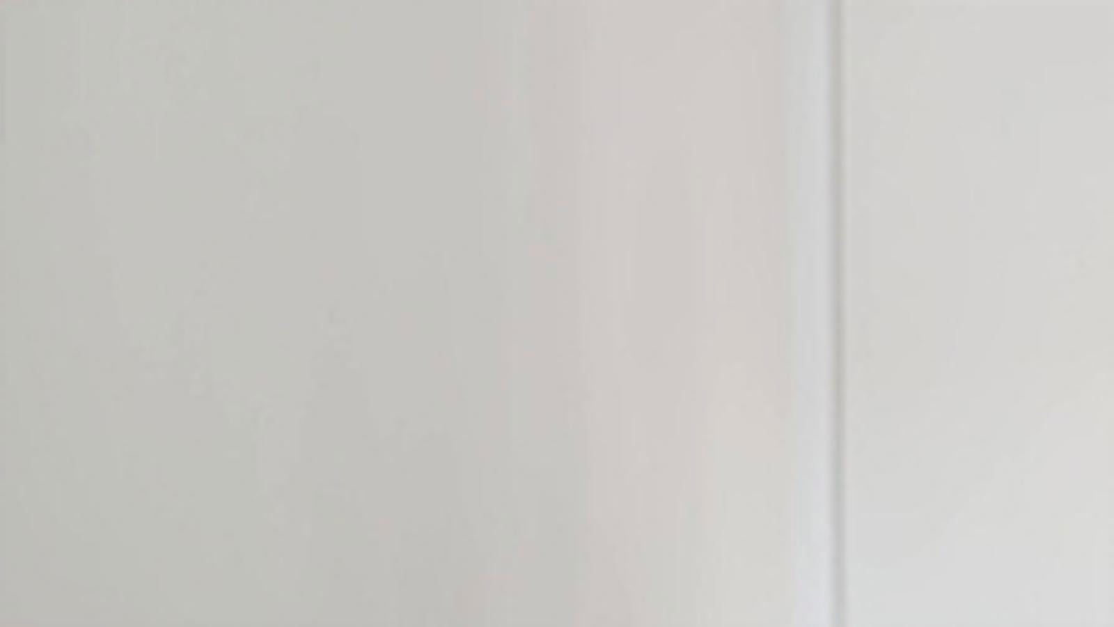 Taubmans 3 In 1 White Flat Water Based Interior & Exterior Primer Undercoat Sealer 500ml