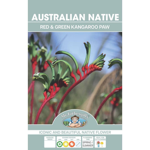 Mr Fothergill Kangaroo Paw Flower Seeds - Red Green - 100 Seeds - Hardy - SuperSaverAU - view 1