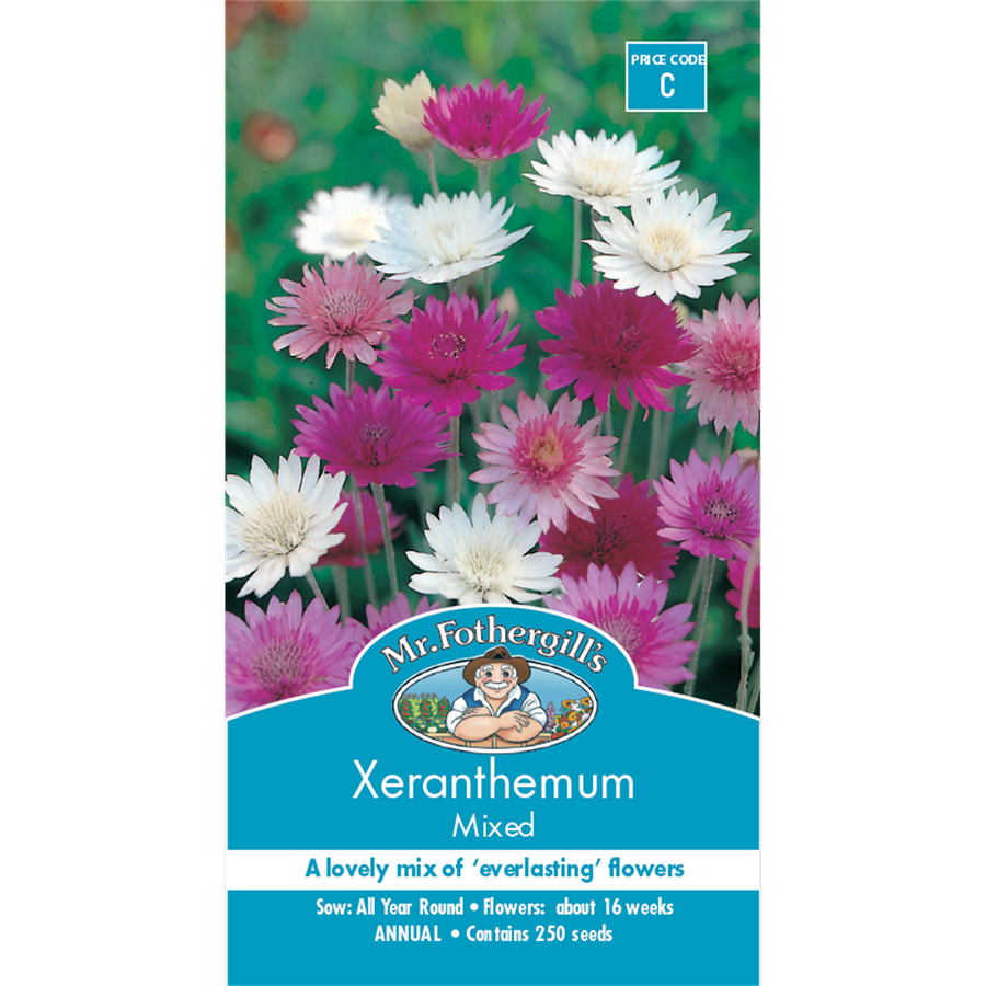Mr Fothergill Xeranthemum Flower Seed - 75cm - Hardy - Dried Flowers - SuperSaverAU - view 1