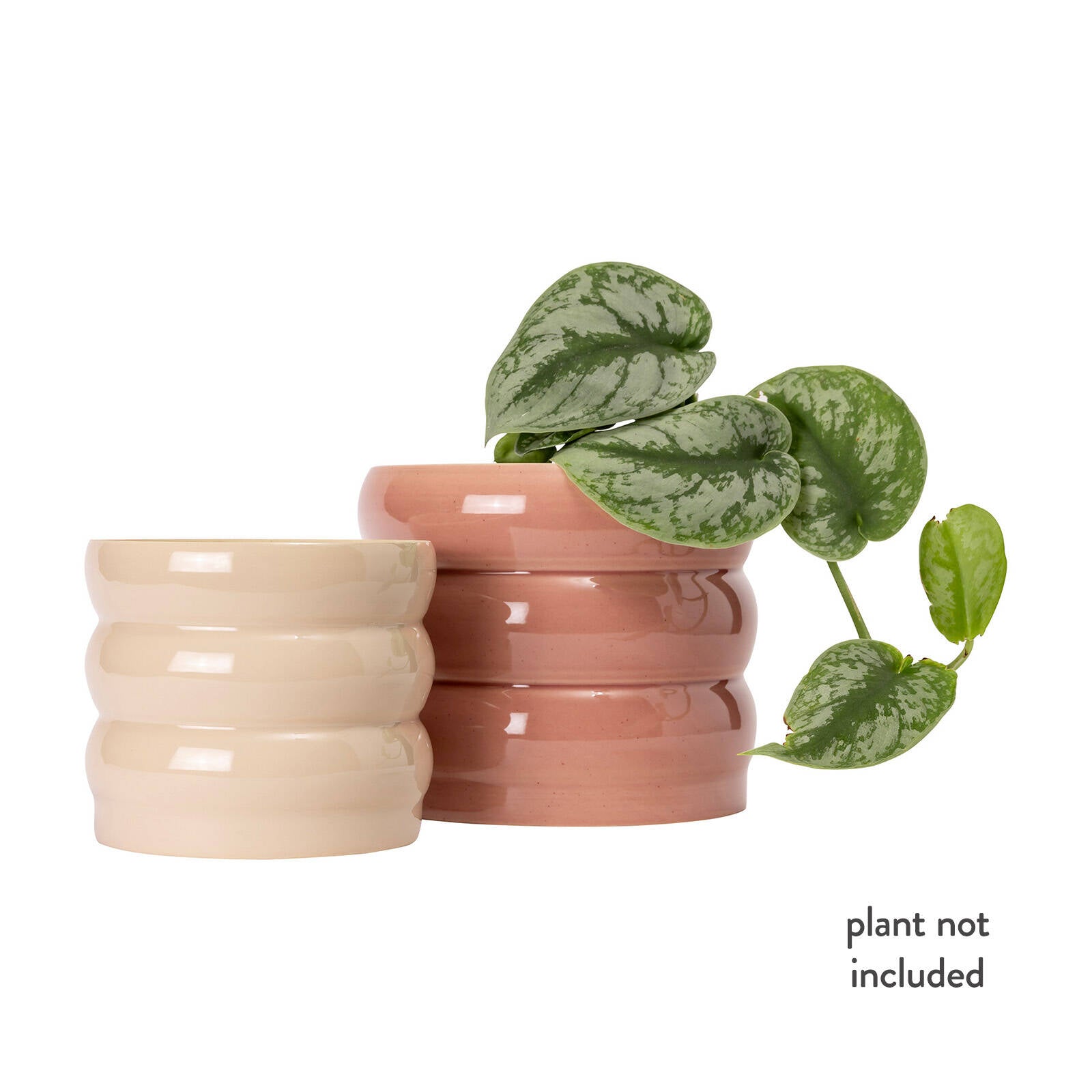Borralheira Smooth Bone Indoor Ceramic Pot 180 x 155mm