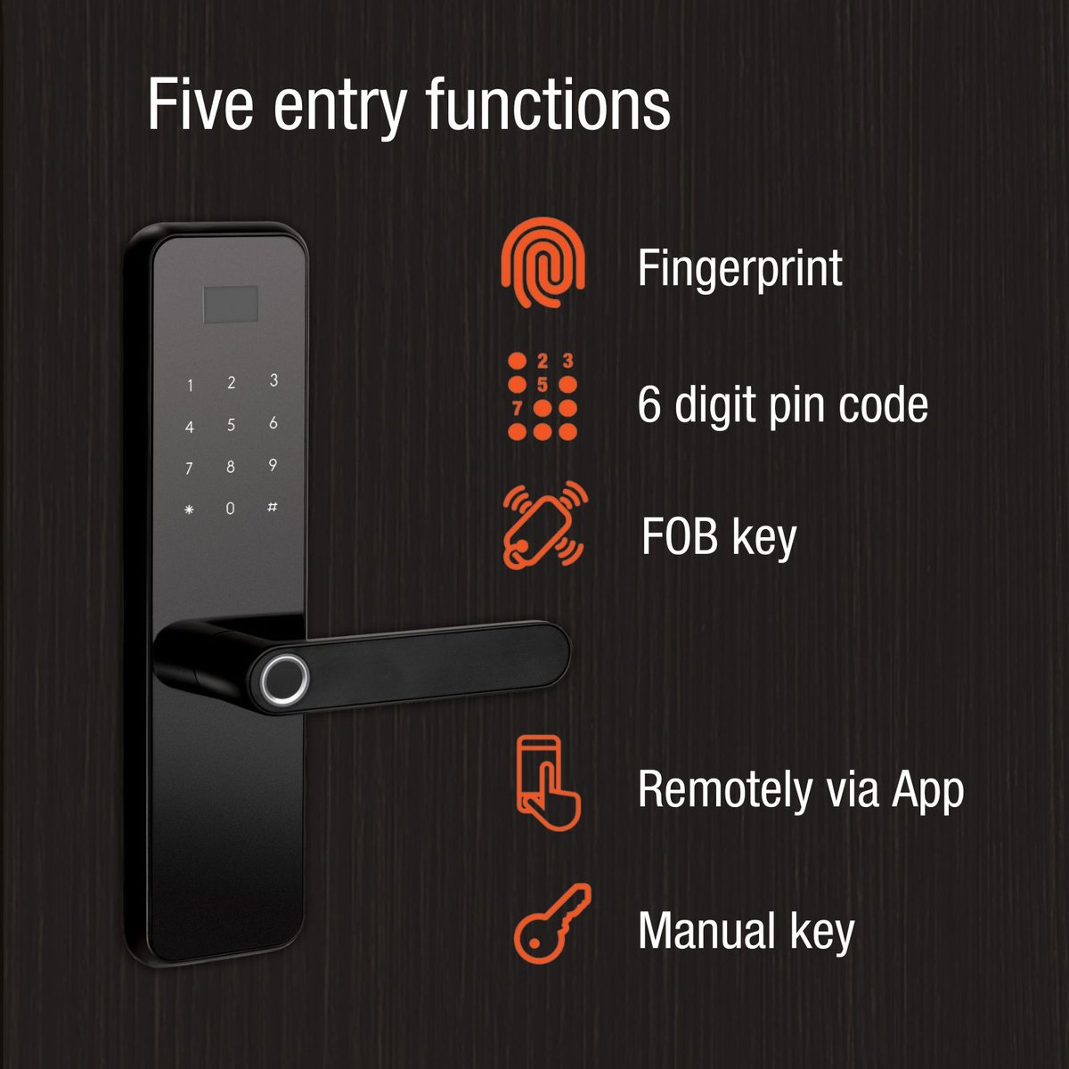 Lemaar Black Rectangle Latch Smart Lock - 5 Entry Functions - 67mm x 270mm