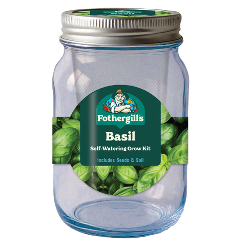 Mr Fothergill's Basil Self Watering Mason Jar Grow Kit