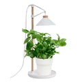 Home Grown Grow Table Lamp - 40cm - Beech Wood - Full Spectrum Light - SuperSaverAU - view 2