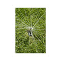 Rain Bird 2.4-4.2m High Efficiency Adjustable Pattern Rotary Nozzle