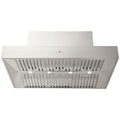 Schweigen 120cm BBQ Canopy Rangehood - 304 Stainless Steel, 3200m³/h, Single External Motor - CL7372SEPAK