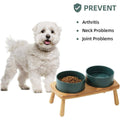 Elevated Ceramic Dog Bowl Double Set with Anti-Slip Bamboo Stand - Green - view 5