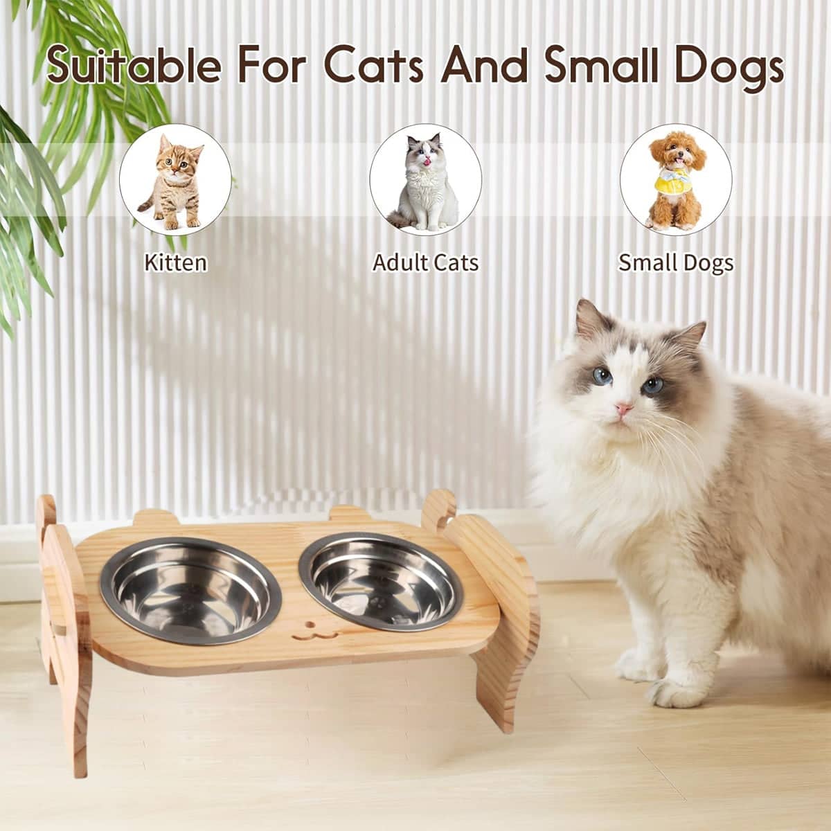 Elevated Double Pet Bowl Stand with Stainless Steel Bowls and Anti-Tip Design - view 5