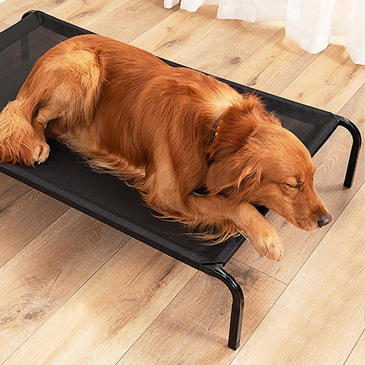 Elevated Pet Bed with Mesh Sleeping Surface - Size S (68 x 55 x 16 cm) - view 15