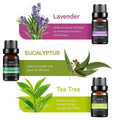 Essential Oil Set, Pack of 6 Plant Aromatherapy Oils for Diffusers - view 4