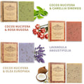 Exfoliating Body Soap Bar with Scrub Granules, Pack of 2 - Rose - view 5
