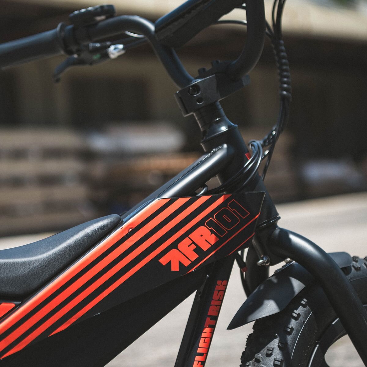 Flight Risk FR101 E-Bike for Ages 4 and Up - 16 Inch Frame, 250W Motor, 36V 10Ah Battery - FR-101BLACK