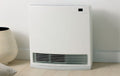 Rinnai Dynamo Natural Gas Heater - Heats up to 59sqm - Off White - Dual Timers - Remote Control - DY15N