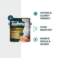 Taubmans Endure 2L Neutral Low Sheen Interior Wall Paint Stain Resistant