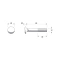 Zenith M10 x 65mm Zinc Plated Cup Head Bolts and Nuts 25 Pack - Reliable Fastening Solutions - SuperSaverAU - view 5