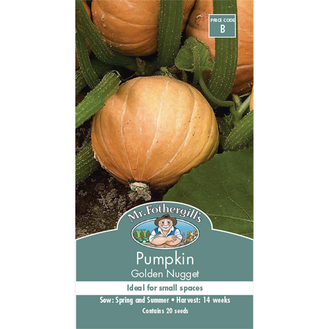 Mr Fothergill S Golden Nugget Pumpkin Seeds - Medium - Seed - Tasty - SuperSaverAU - view 1