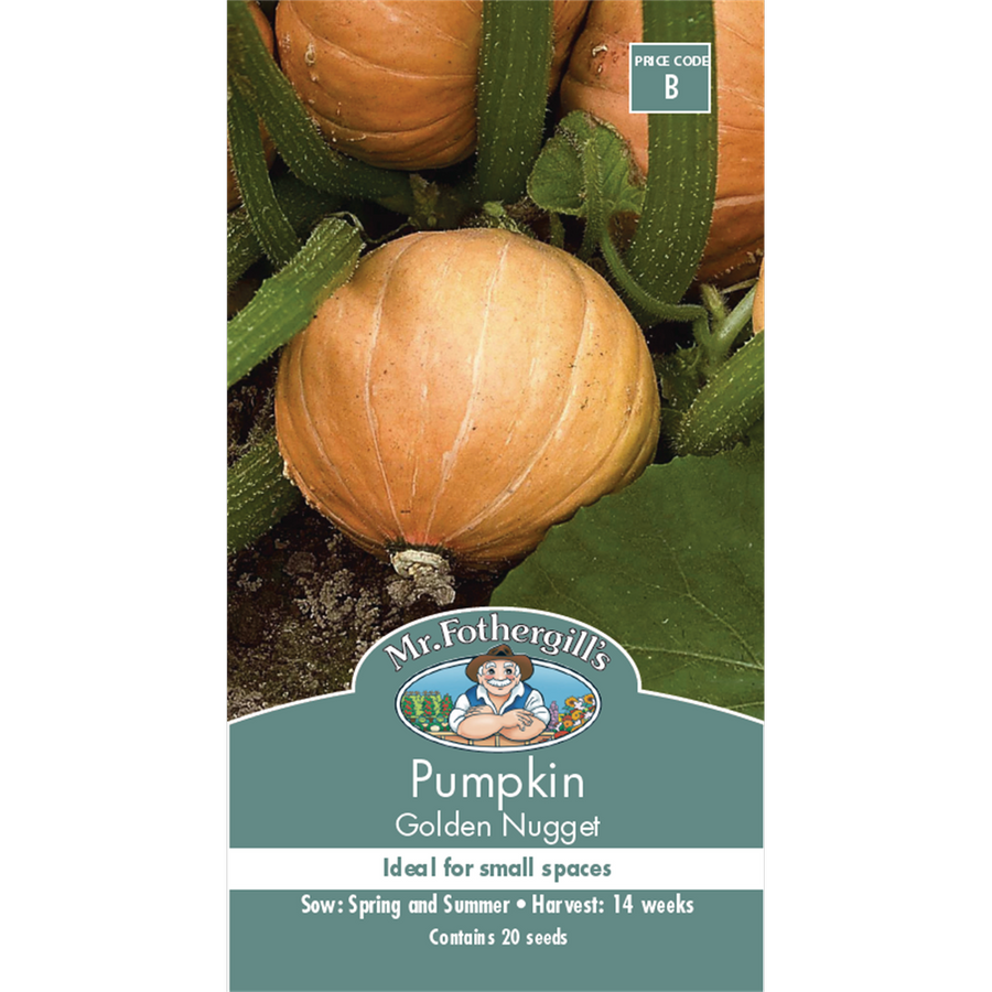 Mr Fothergill S Golden Nugget Pumpkin Seeds - Medium - Seed - Tasty - SuperSaverAU - view 1