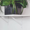 Carinya 300 x 250mm White Light Stayed Bracket, Powder Coated Steel, Multi-Orientation Wall Mount