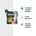 TAUBMANS Endure 2L Hi-C Red Low Sheen Interior Walls Paint Water Based UV Resistant