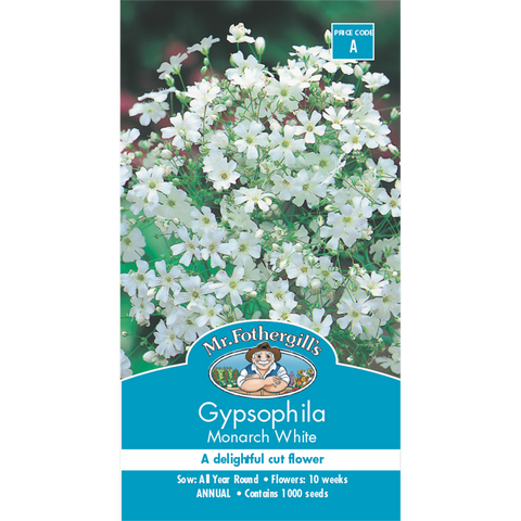 Mr Fothergill Gypsophila Seeds - 30cm - Hardy Annual - White Flowers - SuperSaverAU - view 1