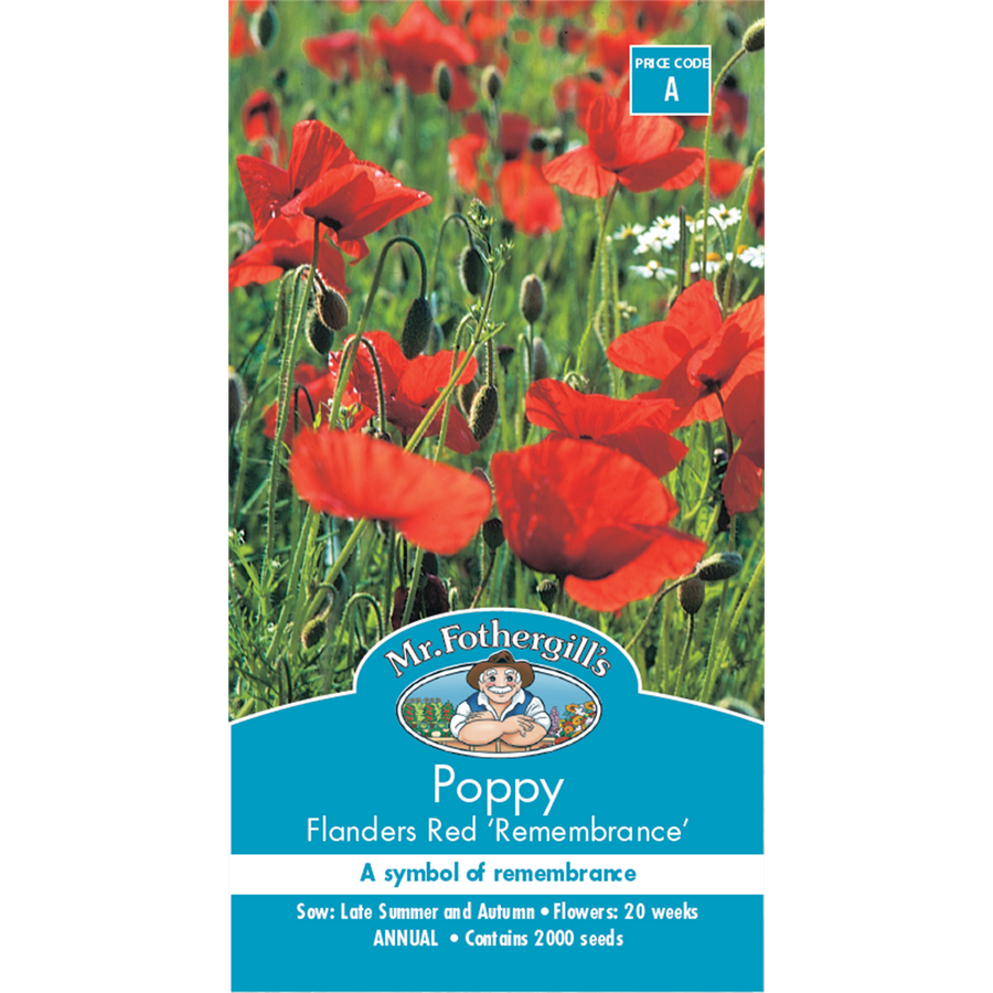 Mr Fothergill Poppy Flanders Red Flower Seeds 60cm Annual Sunny - SuperSaverAU - view 1