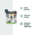 Taubmans 4L Accent Semi Gloss All Weather Exterior Paint - Mould Resistant - Fast Drying - SuperSaverAU - view 2