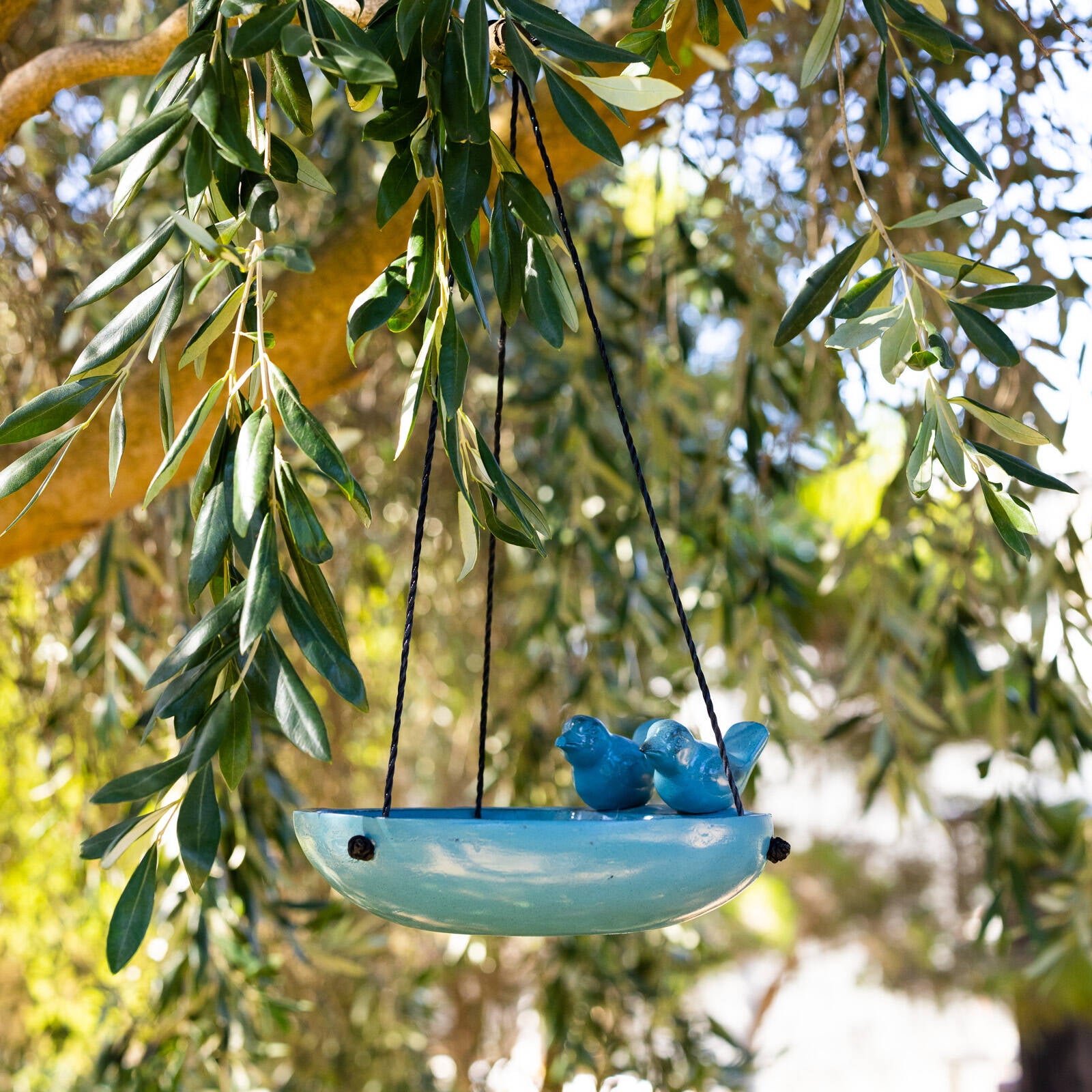 Northcote Pottery 31 x 12cm Teal Seville Bird Feeder Resin