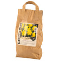 Bloomin Bulbs Daffodil Bulb - 50 Pack - Paper Bag - Easy to Grow - SuperSaverAU - view 3