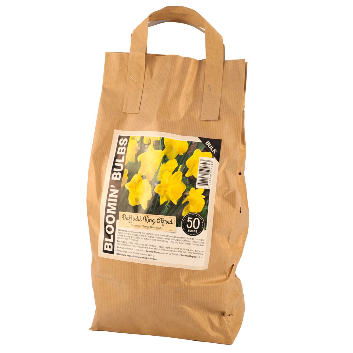 Bloomin Bulbs Daffodil Bulb - 50 Pack - Paper Bag - Easy to Grow - SuperSaverAU - view 3