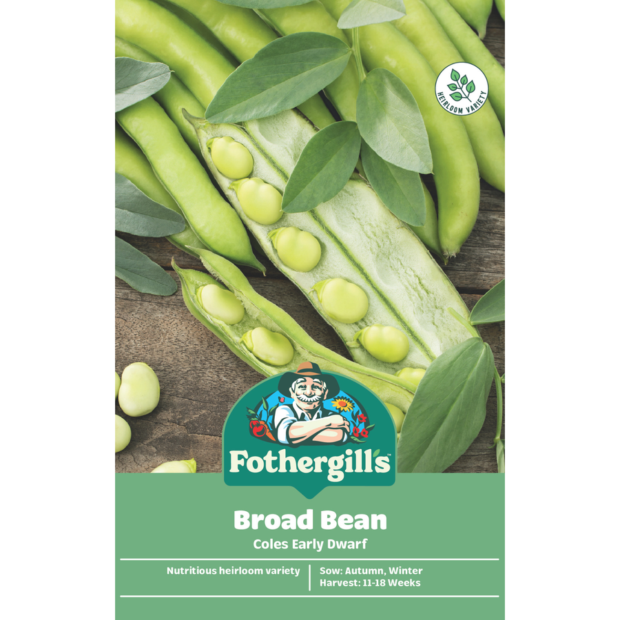 Mr Fothergill's Coles Early Dwarf Broad Bean Vegetable Seeds, Hardy High-Yield