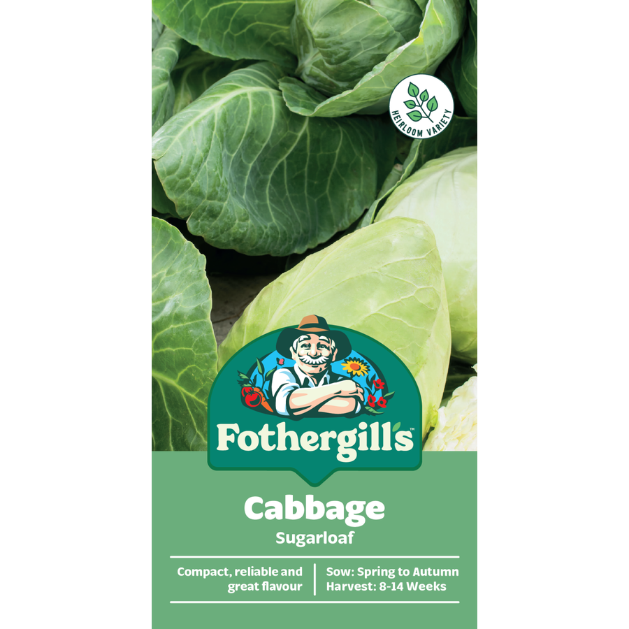 Mr Fothergill's Sugarloaf Cabbage Seeds - Sweet Compact Conical Heads