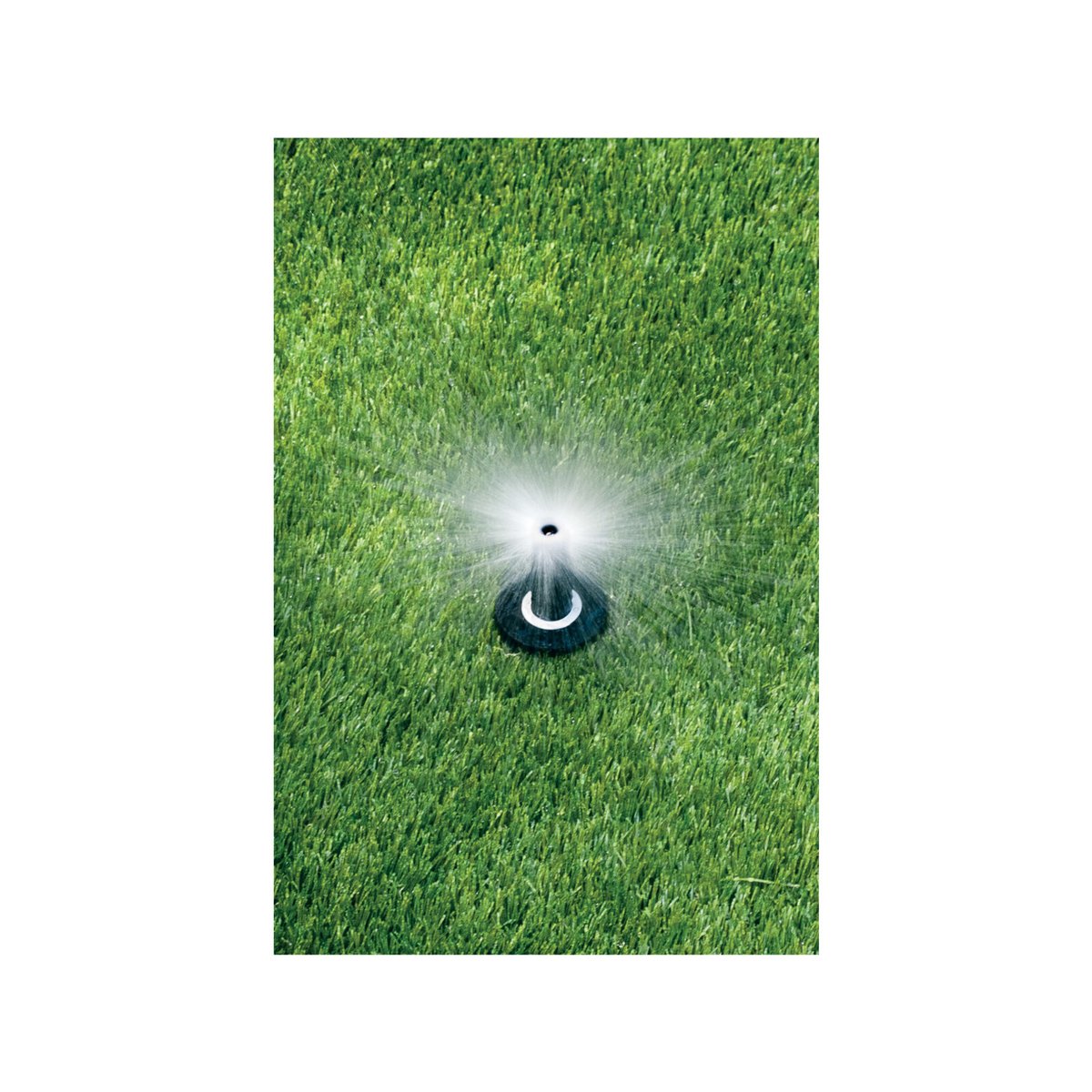 Rain Bird 50mm 2.4m 1800 Series Adjustable Spray Pop-Up Sprinkler - SuperSaverAU - view 2
