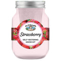 Mr Fothergill's Self Watering Mason Jar Strawberry Grow Kit - Pink Glass, Indoor Herb Kit